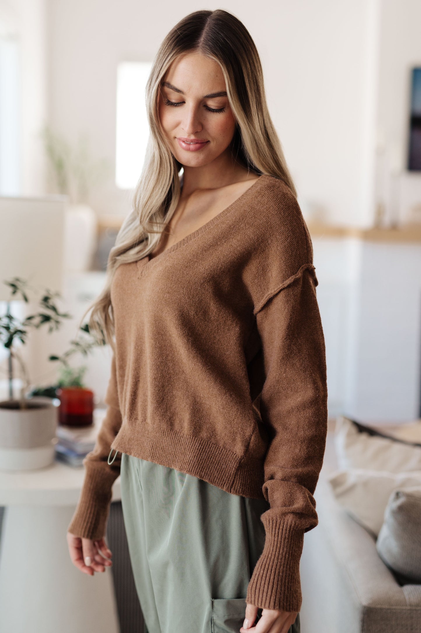 Back to Life V-Neck Sweater in Mocha